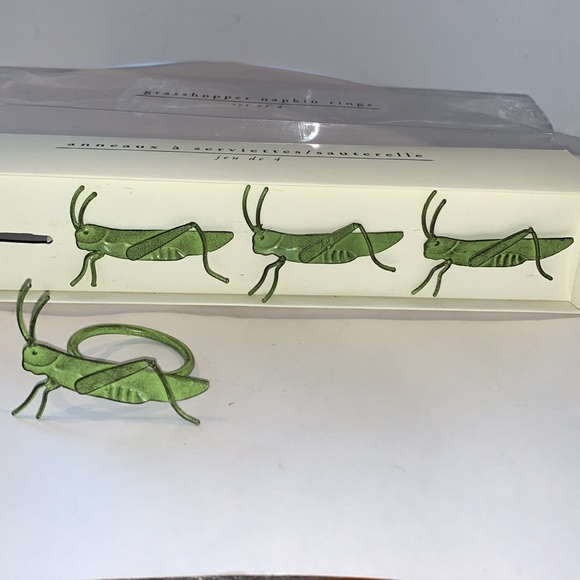 Grasshopper, Napkin Rings NEW Pier 1 Imports Discontinued Stock - Picture 2 of 5